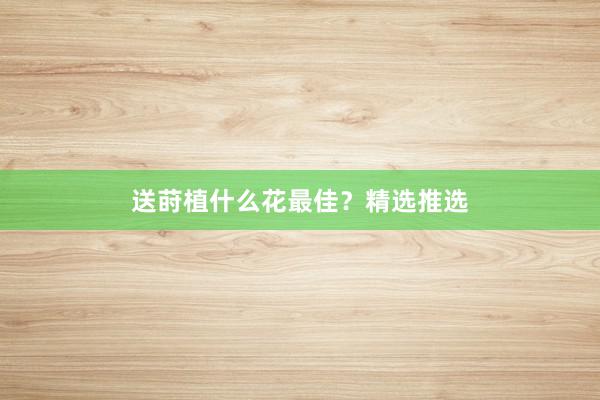 送莳植什么花最佳？精选推选