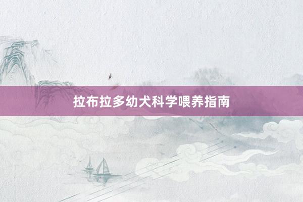 拉布拉多幼犬科学喂养指南