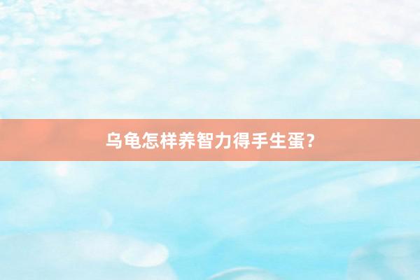 乌龟怎样养智力得手生蛋？