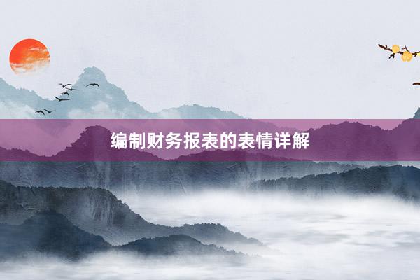 编制财务报表的表情详解